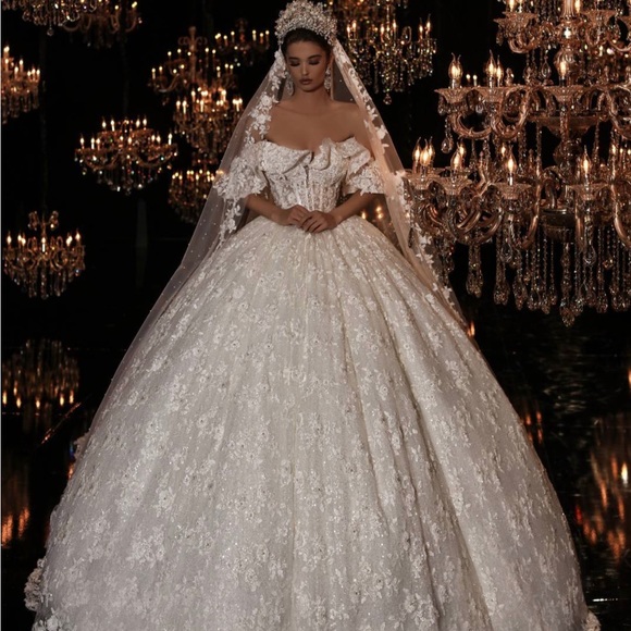 frida xhoi & xhei Dresses & Skirts - FRIDA XHOI & XHEI WEDDING DRESS BRAND NEW NEVER WORN w/ veil and crown